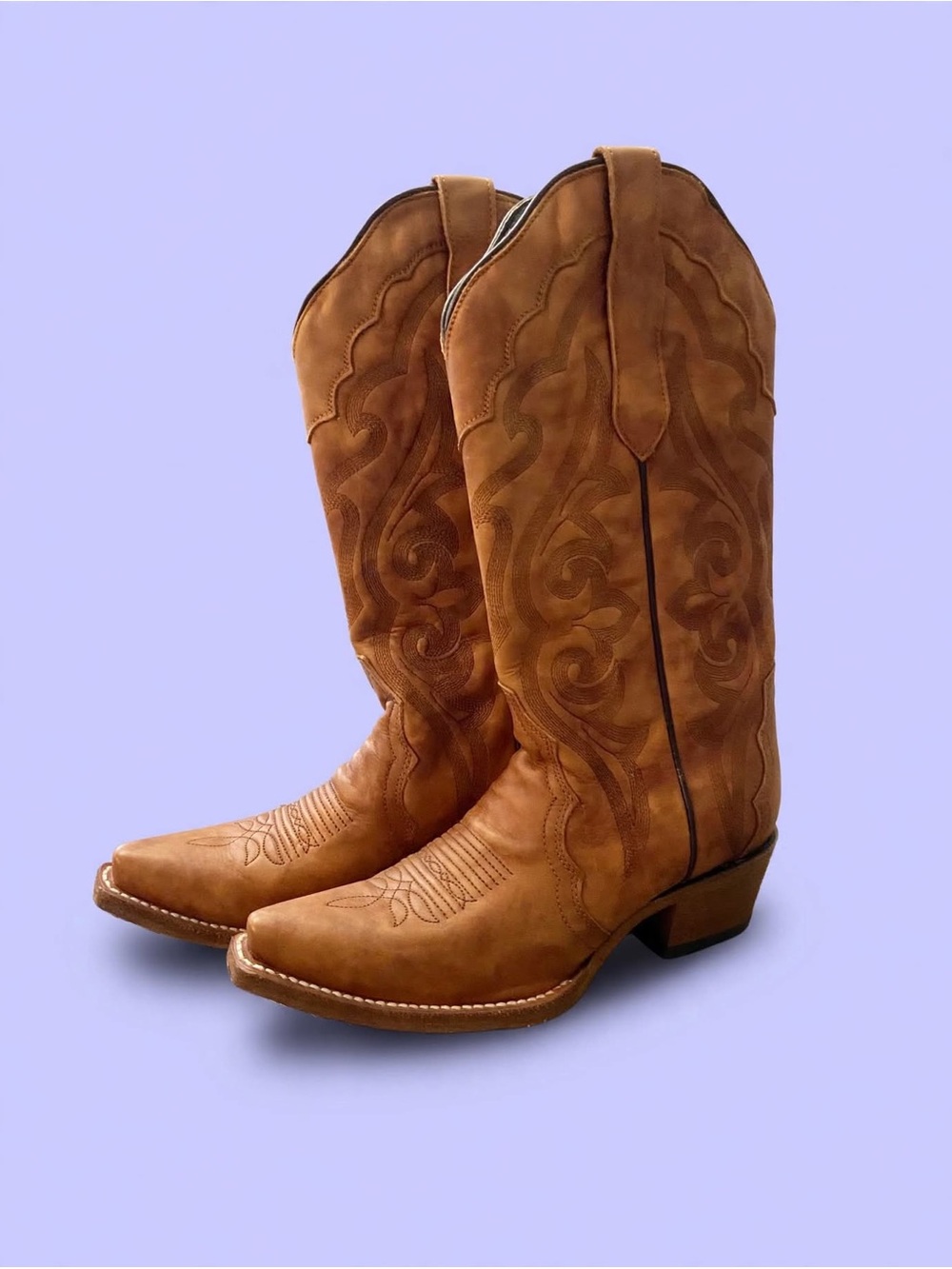 J.B. Dillon Tan Embroidered Western Heeled Boots